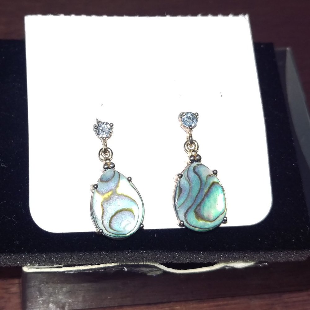 2007 Never Worn Sterling Silver & Abalone Earrings